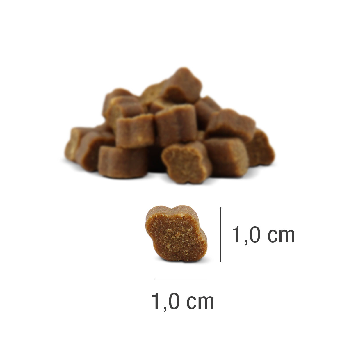 Fit bits Protect 150g
