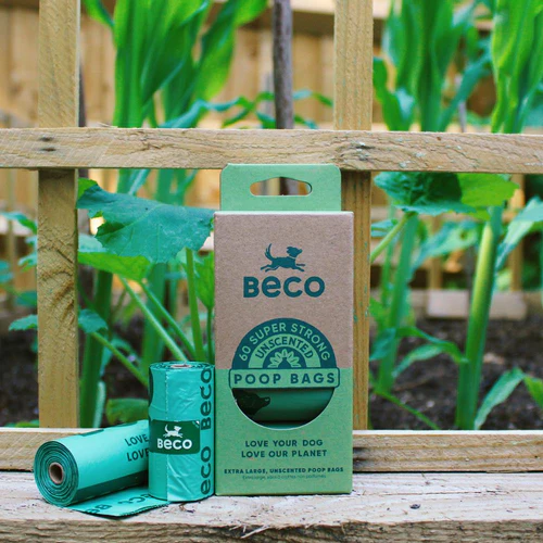 Sacos Beco