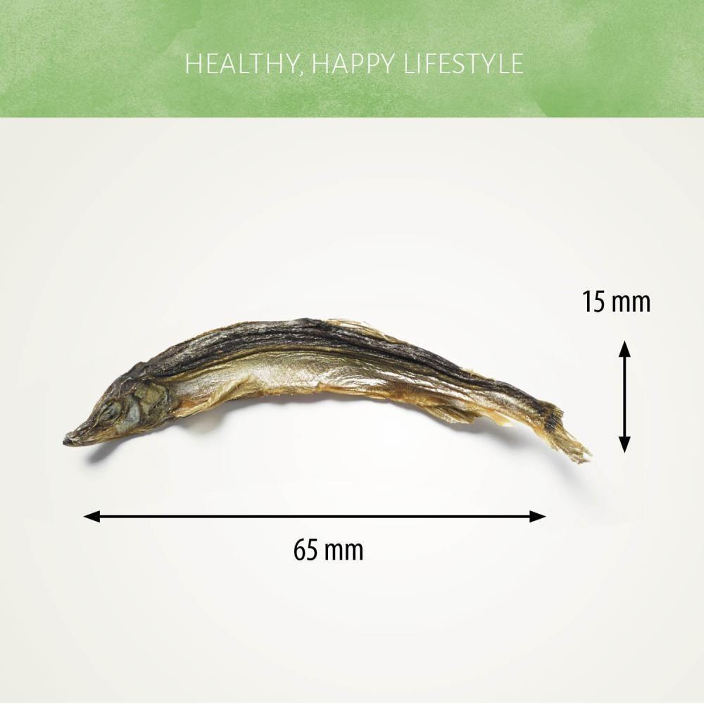 Capelin 90g
