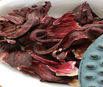 Hibisco Flor