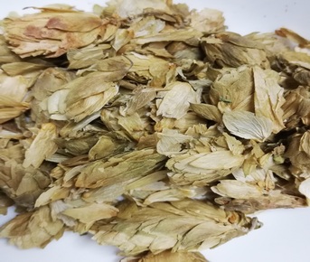 Flor de lúpulo