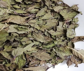 Menta