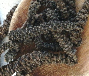 Pimenta longa