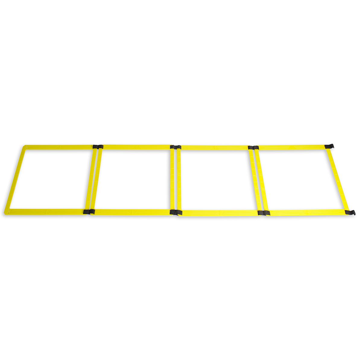 Agility Ladder TRX