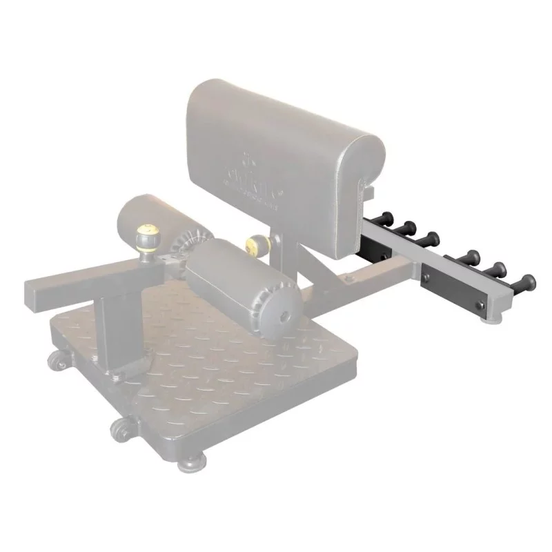 Pinos Para Sissy Squat Pro