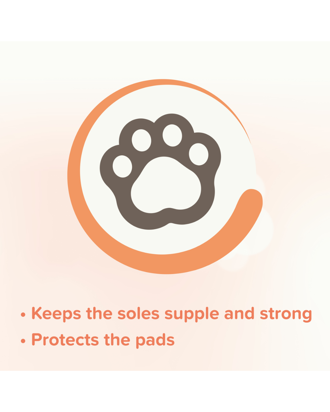 Baume pour Coussinets Plantaires 40ml pour Chiens et Chats – Beaphar