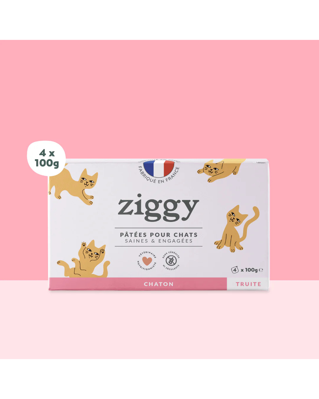 Ziggy – Pâtée pour Chats – Saveur Truite – 4 x 100 g