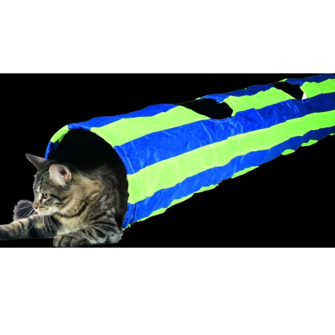 Tunnel de Jouet Félin avec Balle Bleu & Vert