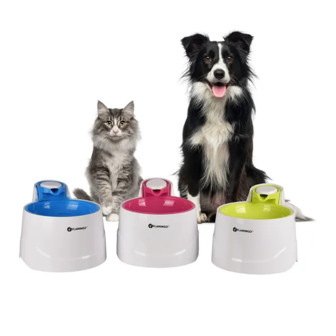 Distributeur d´Eau Bellagio : Eau Fraîche et Courante pour Votre Ami à Quatre Patte