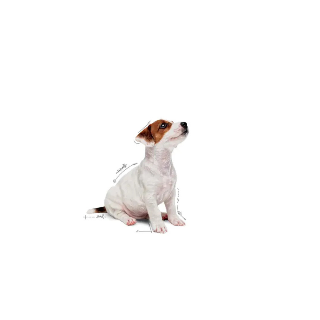 Mini Puppy Wet 12x85g- Aliment Sec- Royal Canin