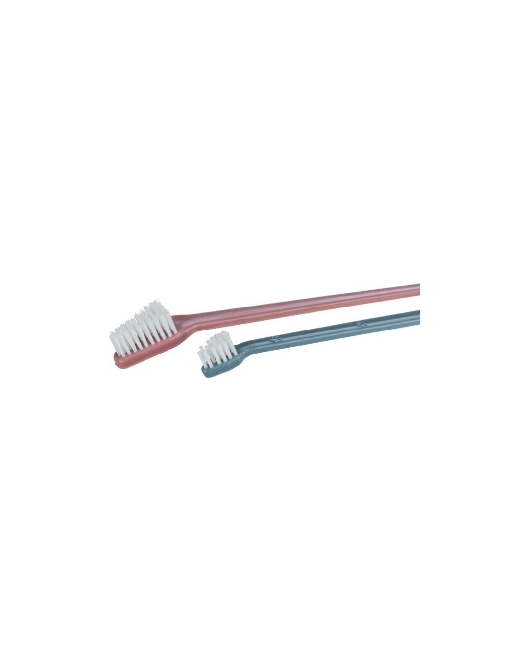 Ensemble de Brosses à Dents – Pour Chiens et Chats- Trixie