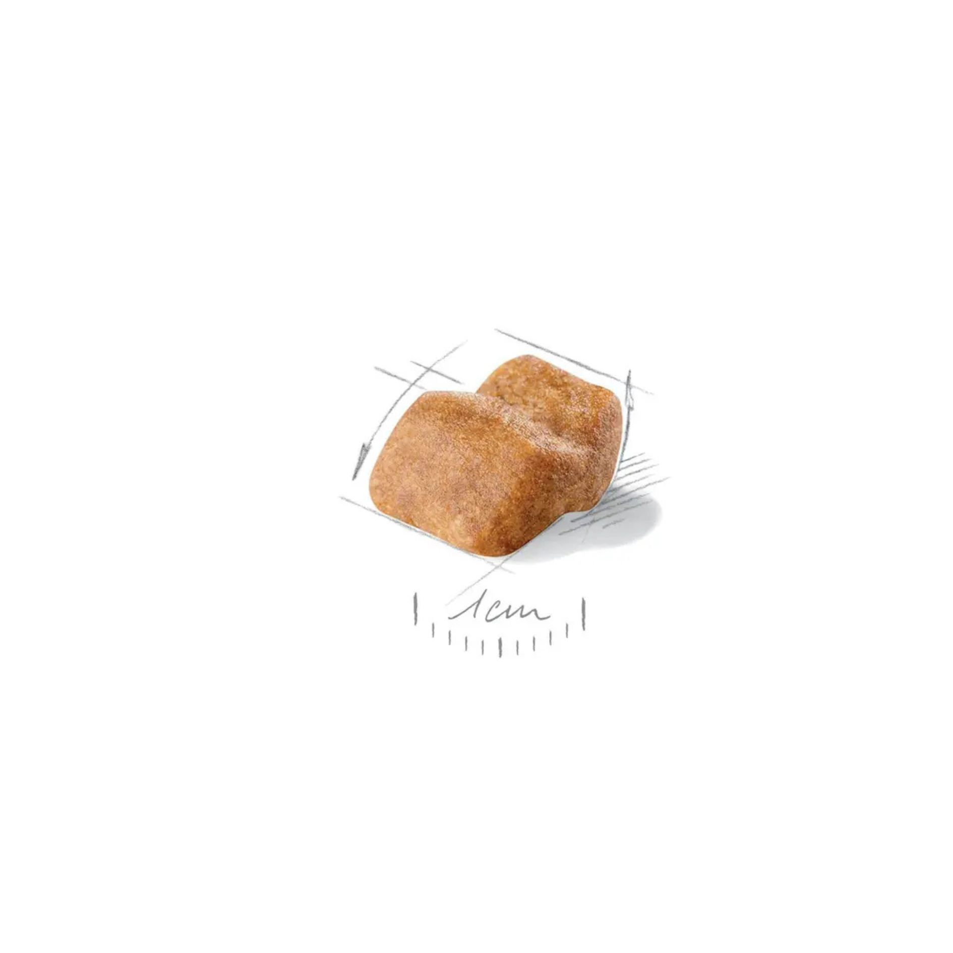 Chiot Bulldog - Aliment sec - Royal Canin