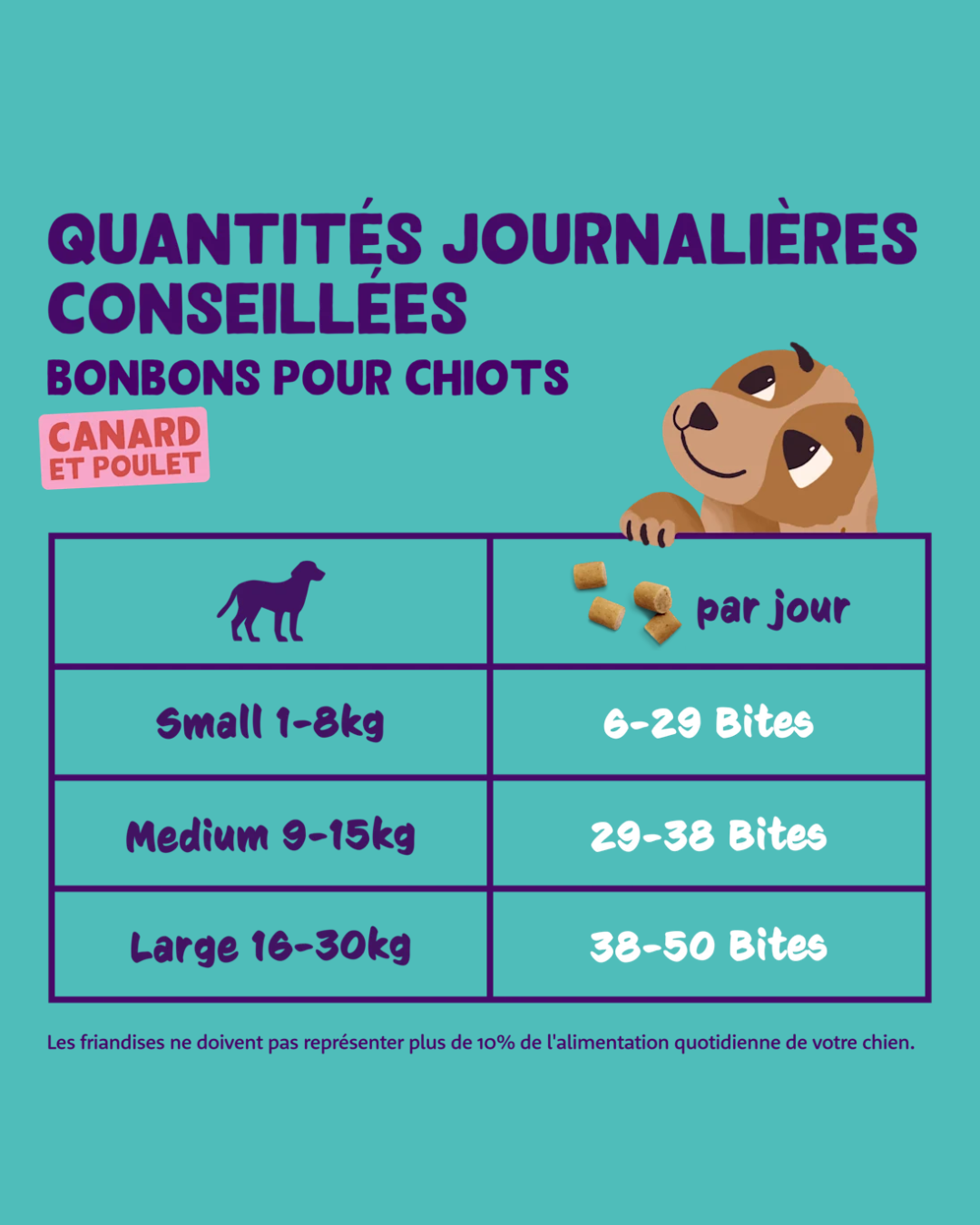 Friandises au Canard et Poulet – Friandise pour Chiens 120g – Edgard Cooper