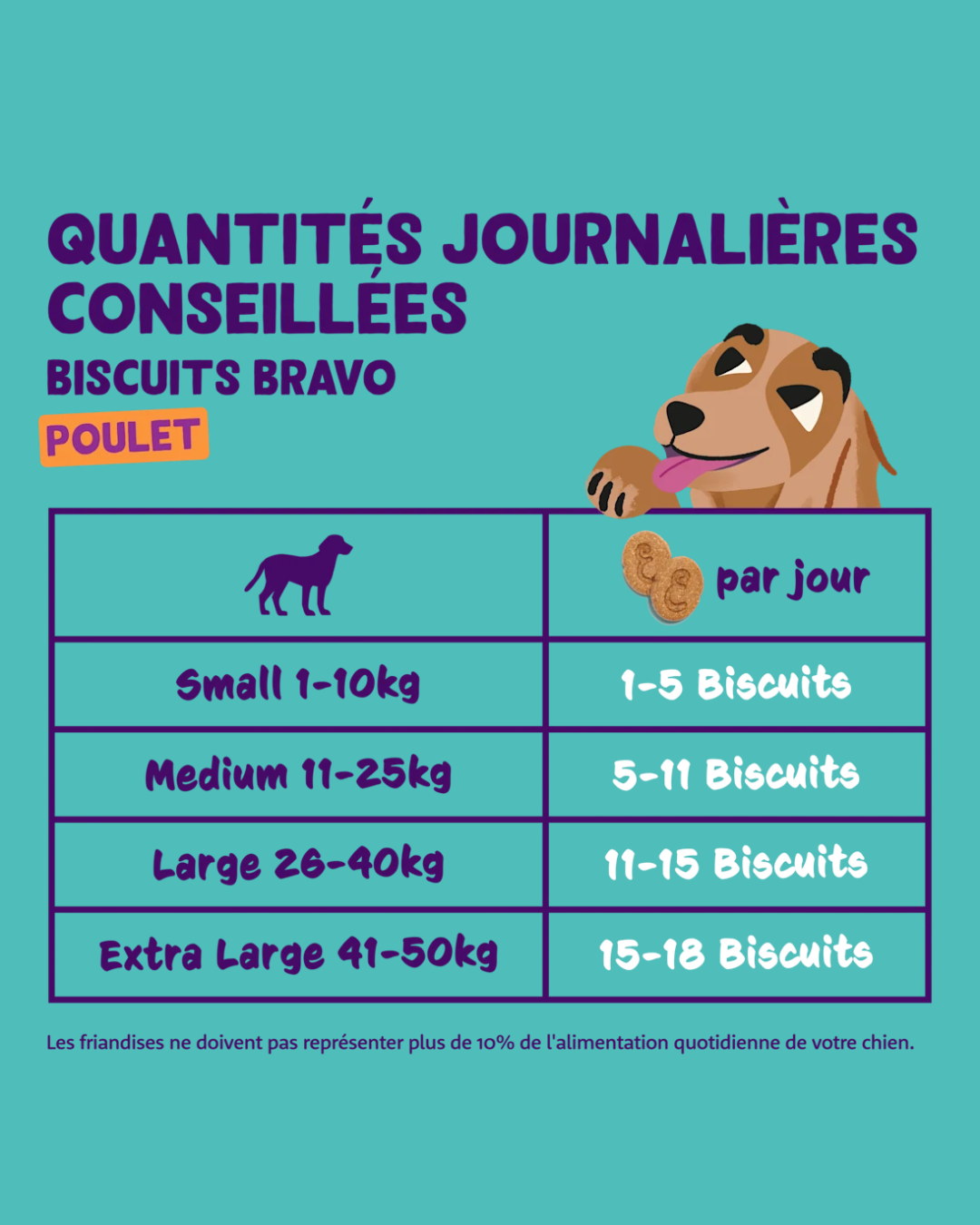 Biscuits au Poulet – Friandise pour Chiens 400g – Edgard Cooper