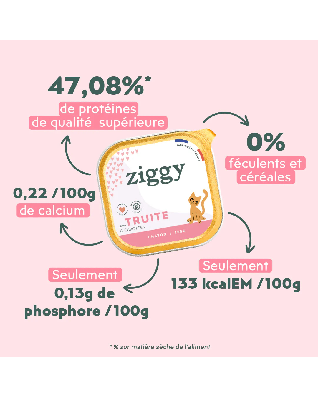 Ziggy – Pâtée pour Chats – Saveur Truite – 4 x 100 g