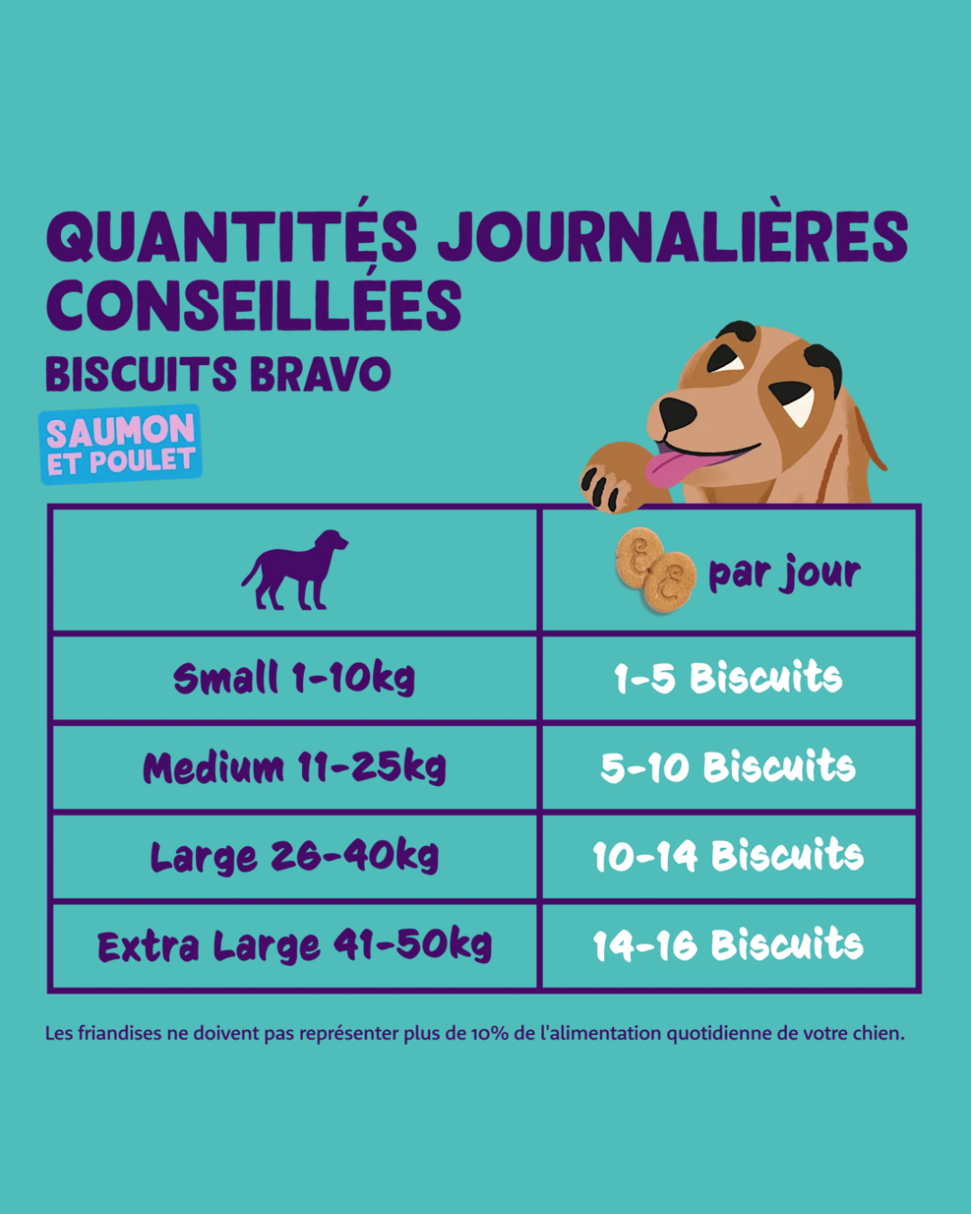 Biscuits Saumon et Poulet – Friandise pour Chiens 400g – Edgard Cooper