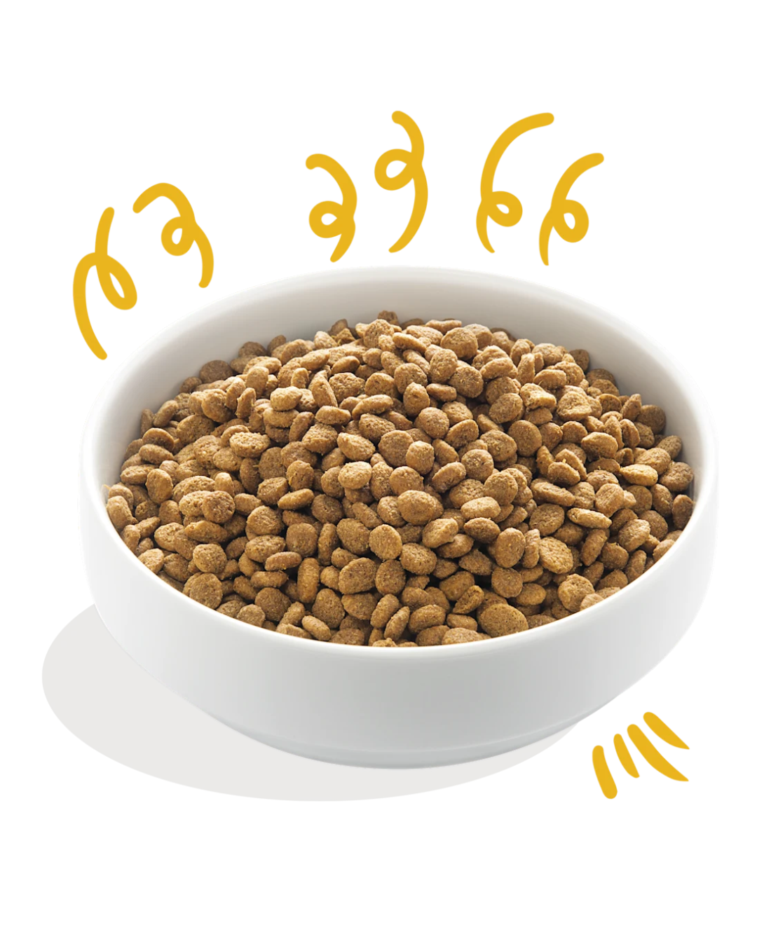 Dinde et Poulet Biologiques – Aliment Sec pour Chiens – Edgard Cooper