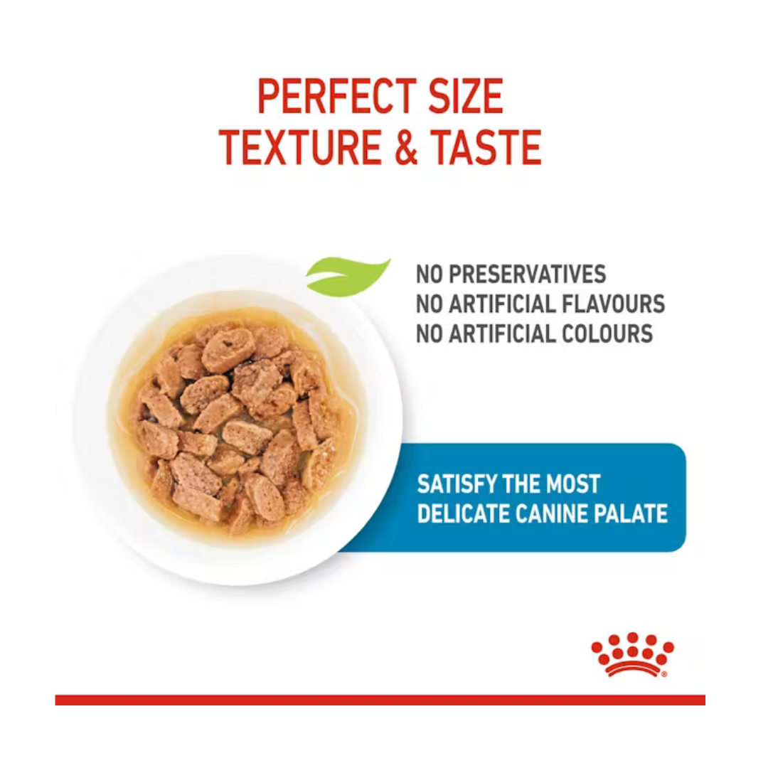 Mini Puppy Wet 12x85g- Aliment Sec- Royal Canin
