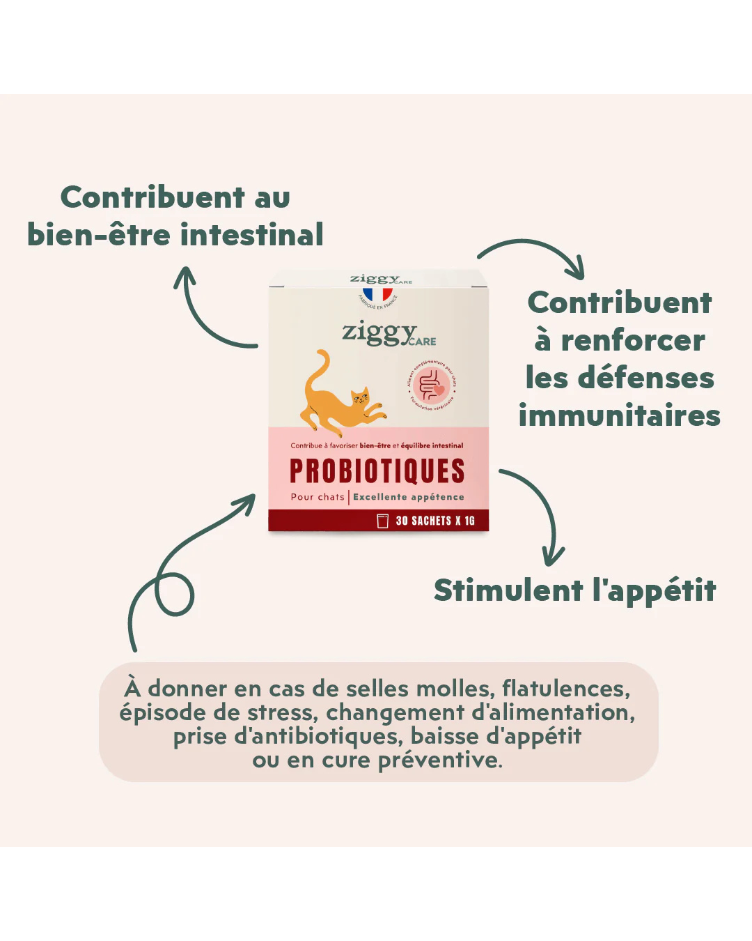 Ziggy – Probiotiques pour Chats – Flore Digestive – 30 x 1 g