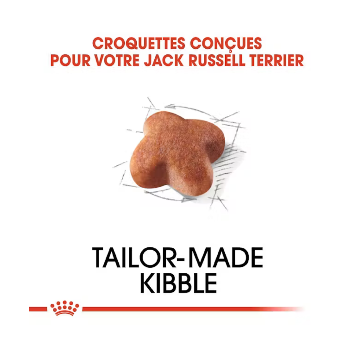 Jack Russell Adulte- Aliment Sec- Royal Canin