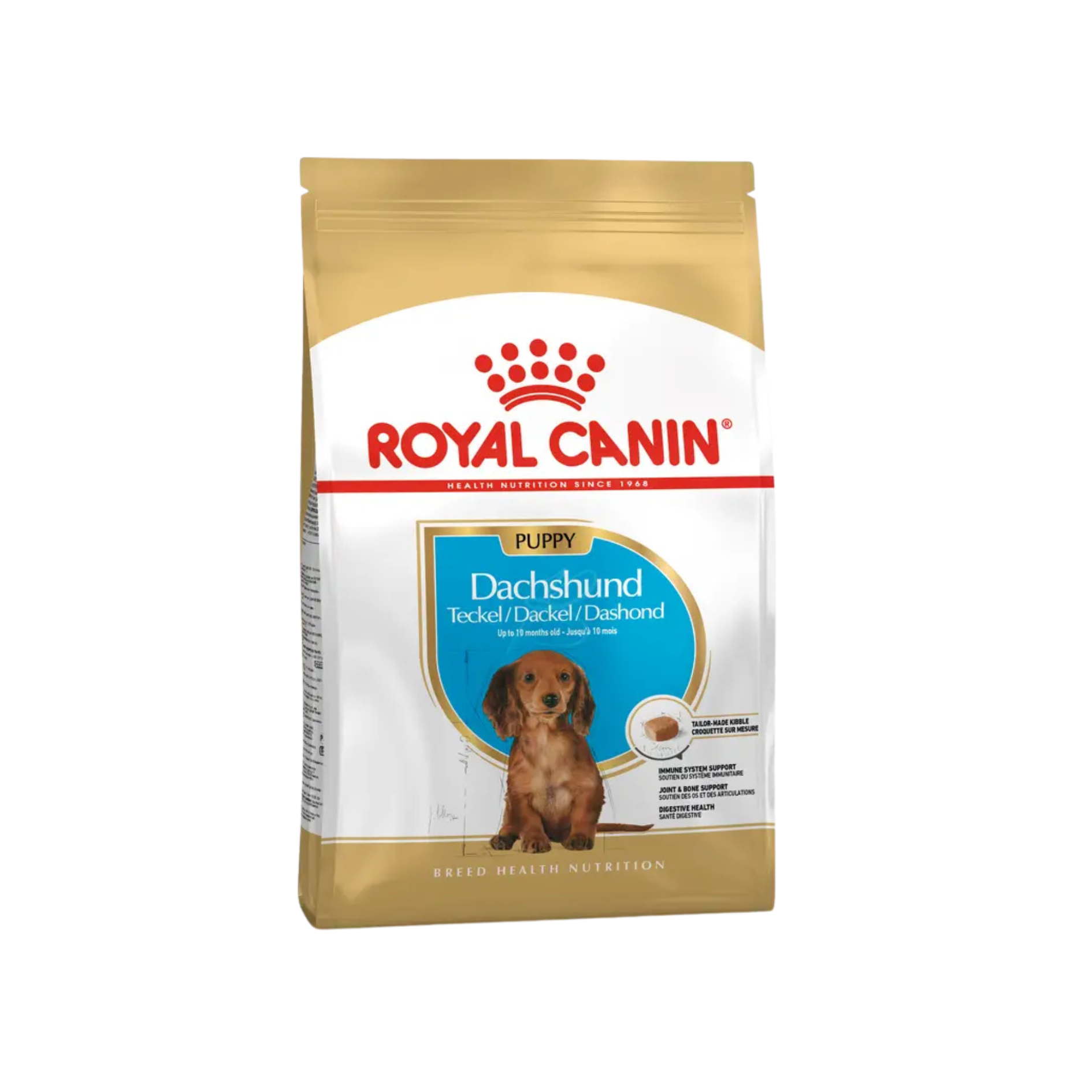 Chiot Teckel - Aliment sec - Royal Canin