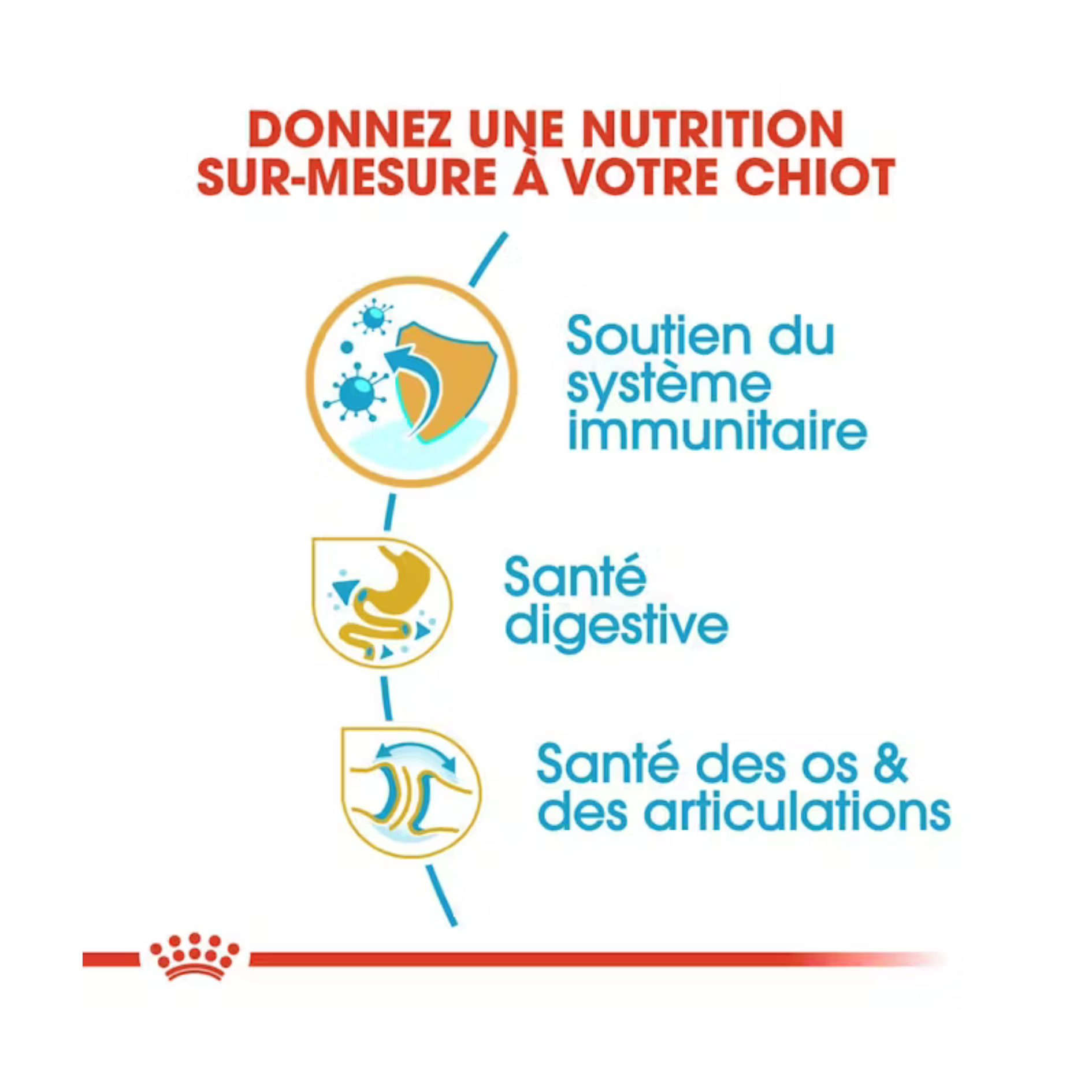 Chiot Bulldog - Aliment sec - Royal Canin