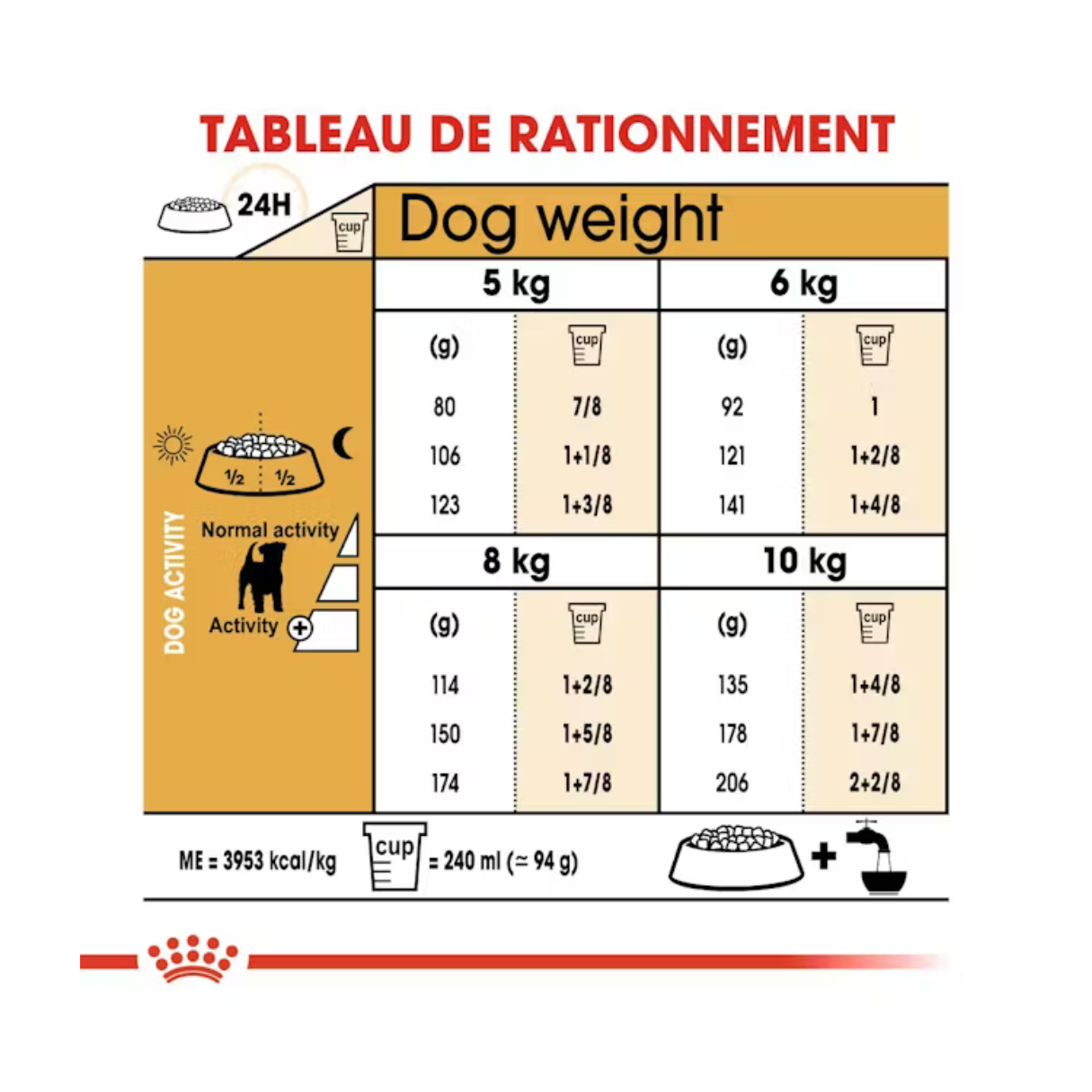 Jack Russell Adulte- Aliment Sec- Royal Canin