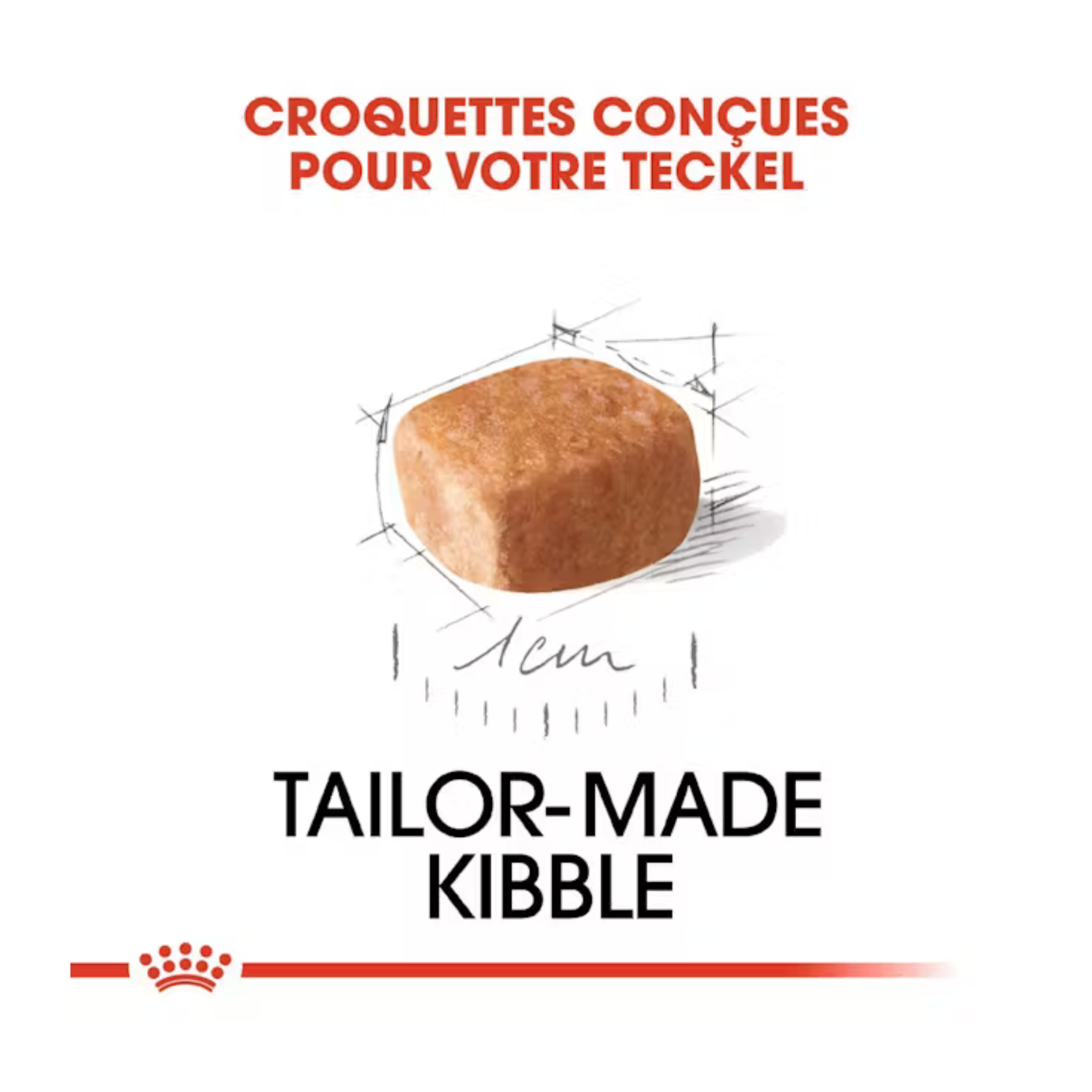 Chiot Teckel - Aliment sec - Royal Canin