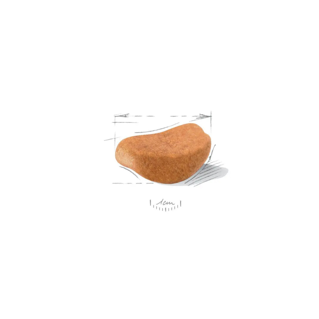 Rottweiler Puppy – Aliment sec – Royal Canin