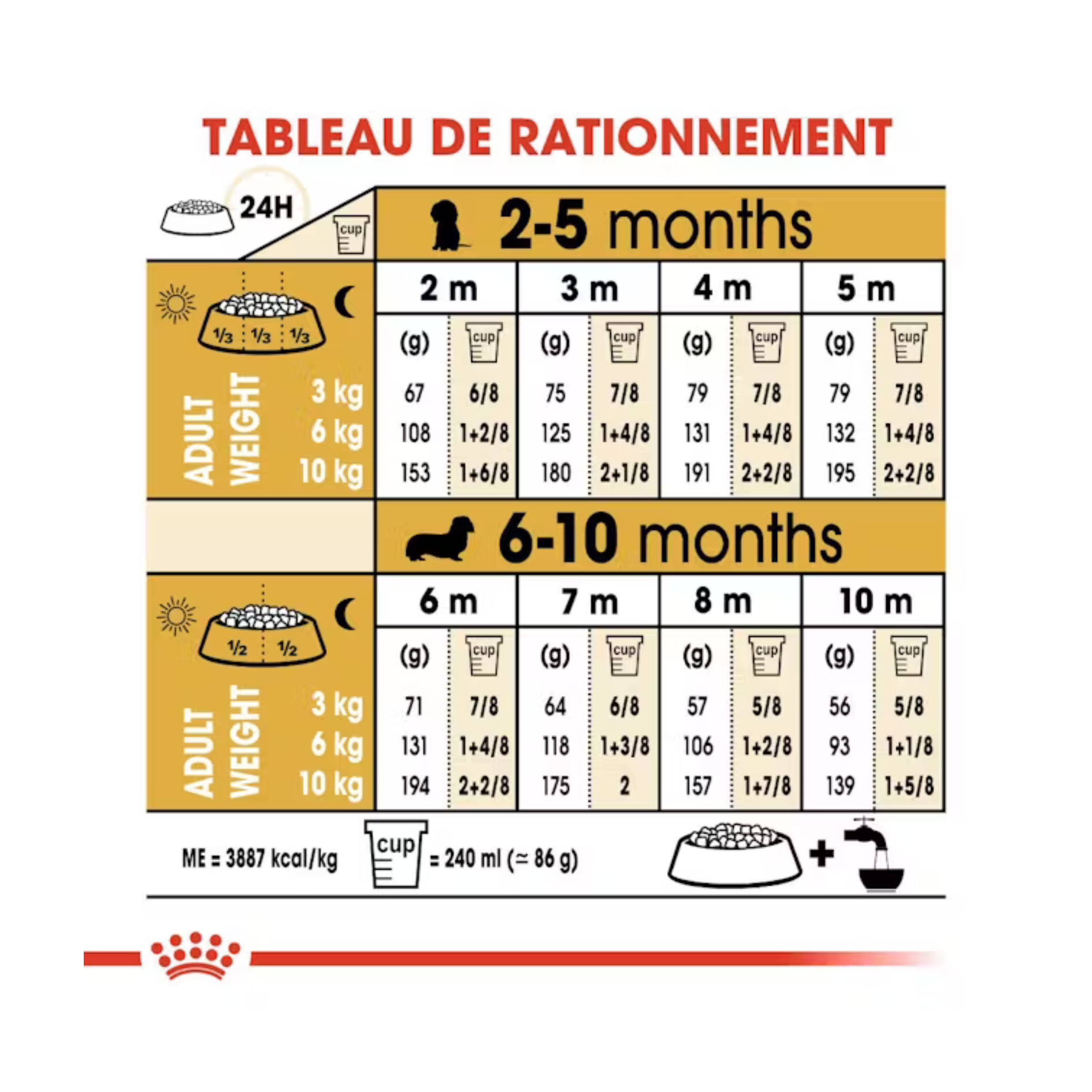 Chiot Teckel - Aliment sec - Royal Canin
