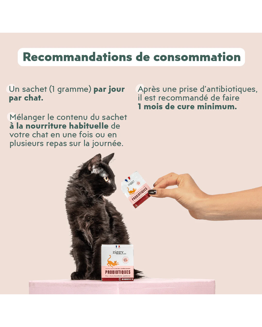 Ziggy – Probiotiques pour Chats – Flore Digestive – 30 x 1 g