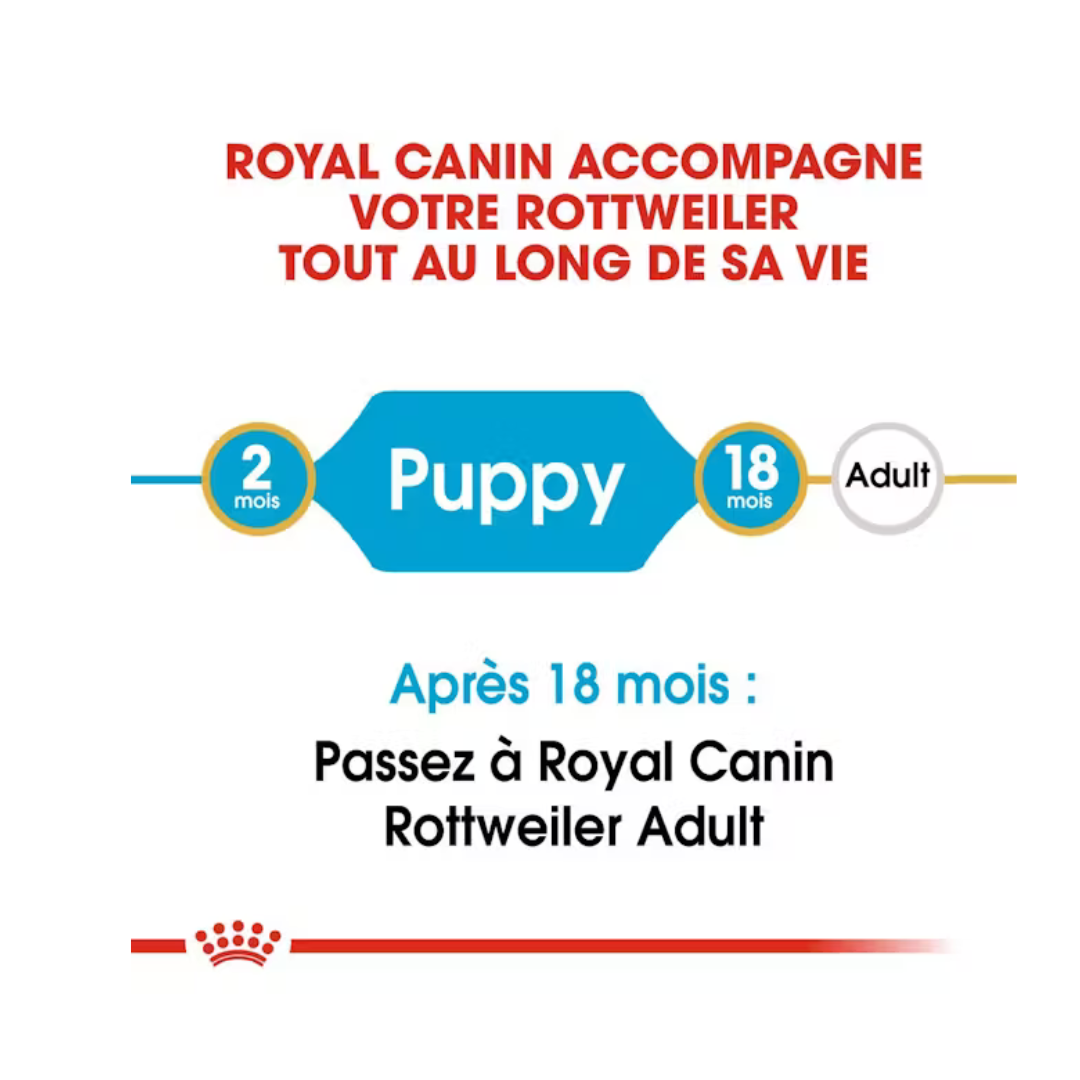 Rottweiler Puppy – Aliment sec – Royal Canin