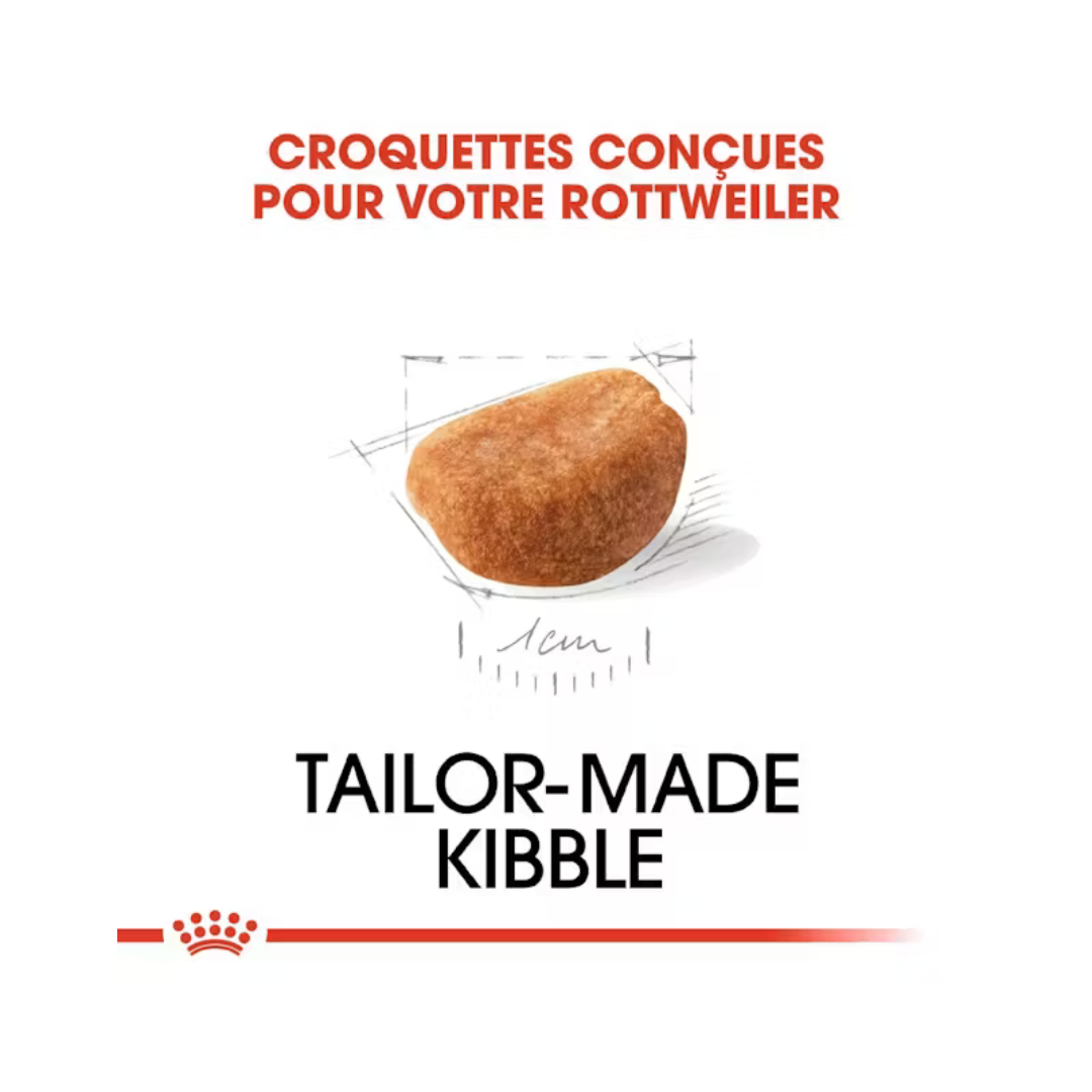 Rottweiler Puppy – Aliment sec – Royal Canin