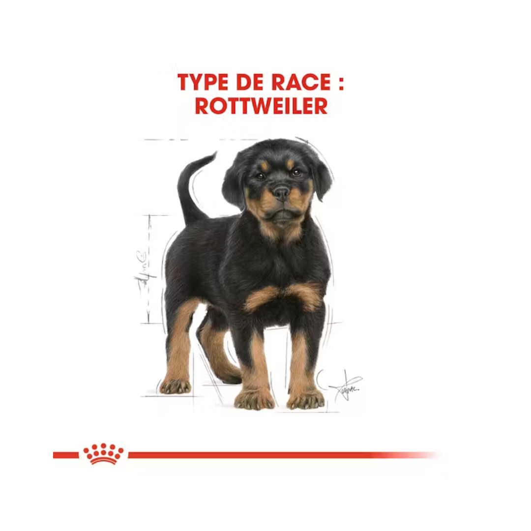 Rottweiler Puppy – Aliment sec – Royal Canin