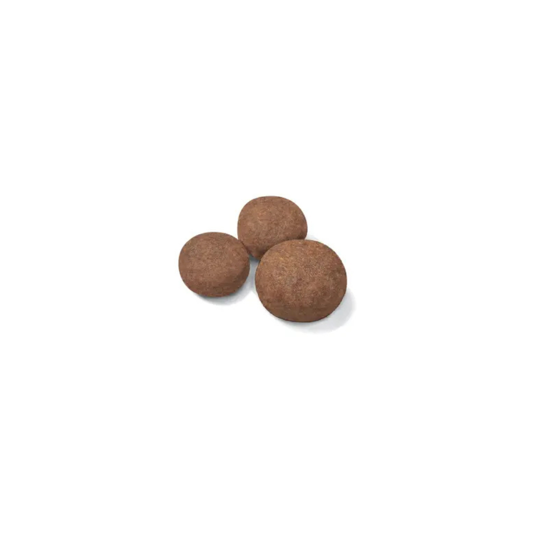Medium Puppy - Croquettes - Royal Canin