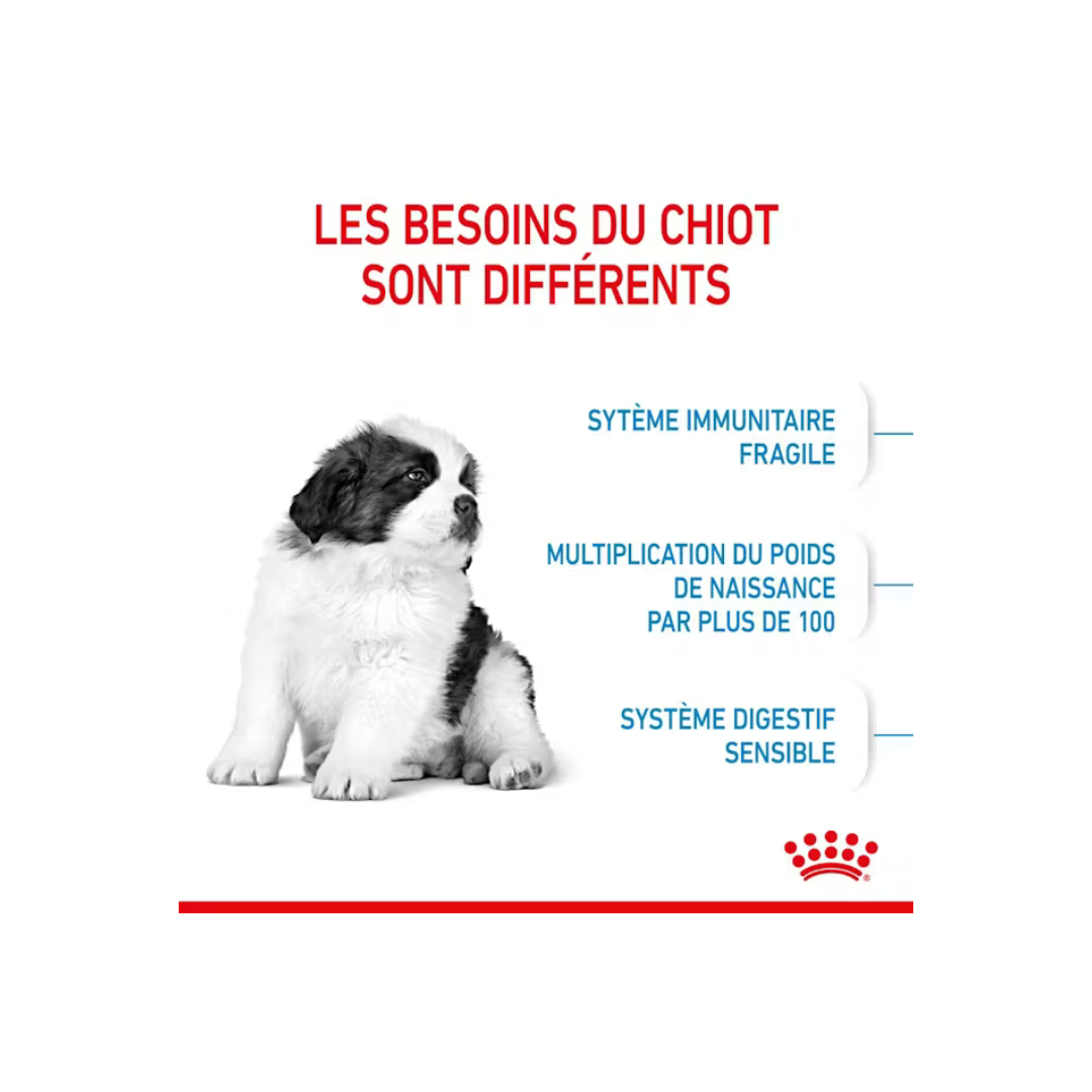 Giant Puppy – Aliment Sec pour Chiots – Royal Canin