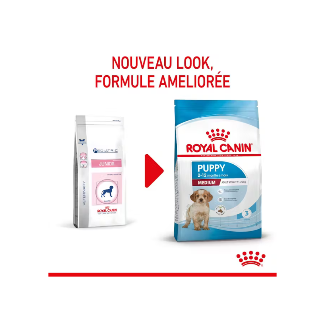 Medium Puppy - Croquettes - Royal Canin