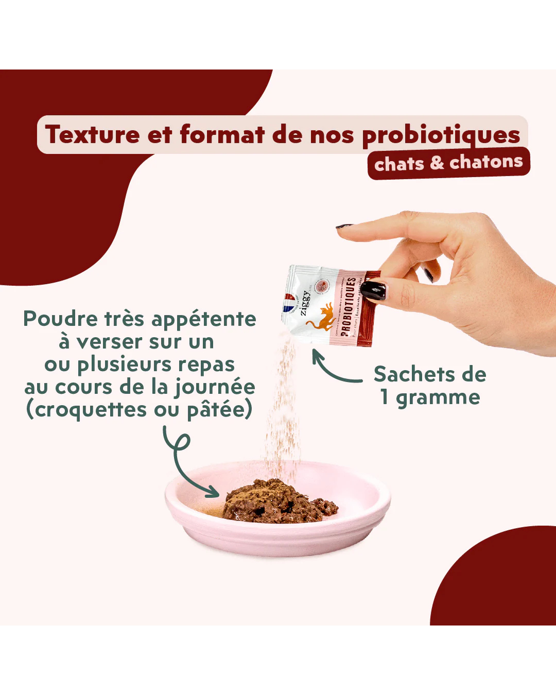 Ziggy – Probiotiques pour Chats – Flore Digestive – 30 x 1 g