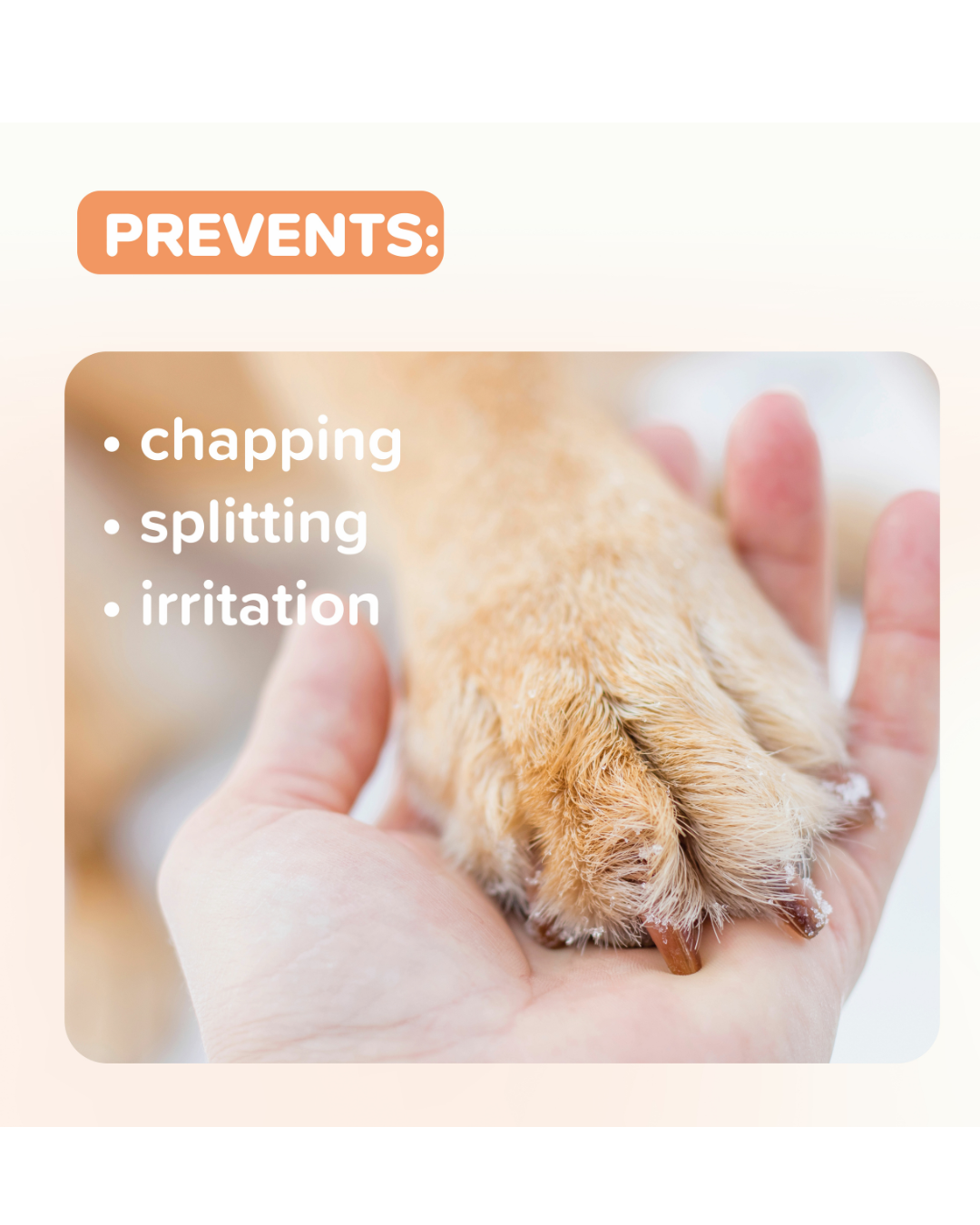 Baume pour Coussinets Plantaires 40ml pour Chiens et Chats – Beaphar