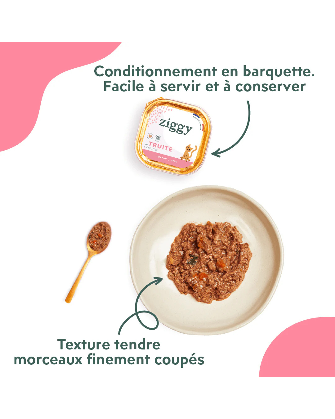 Ziggy – Pâtée pour Chats – Saveur Truite – 4 x 100 g