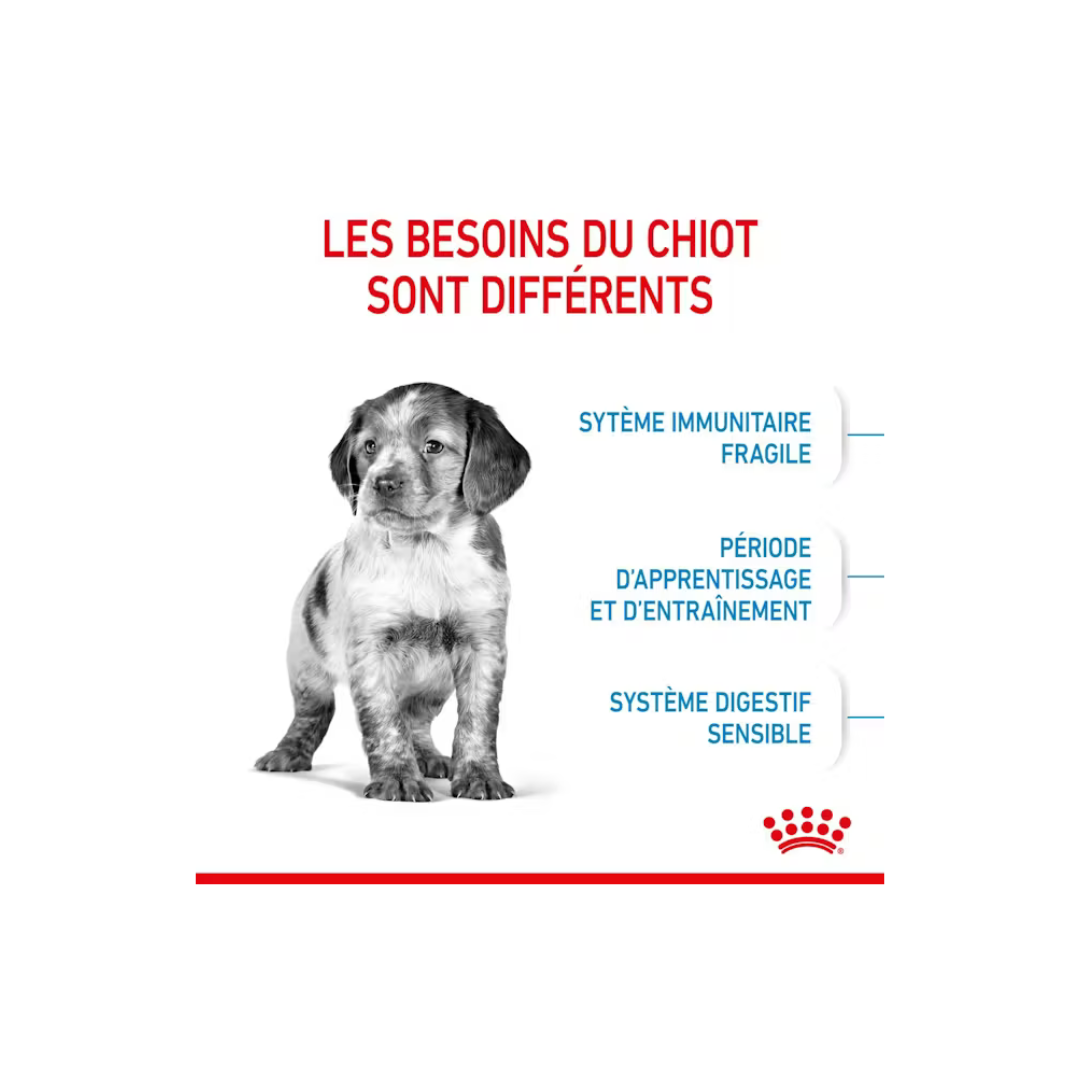 Medium Puppy - Croquettes - Royal Canin