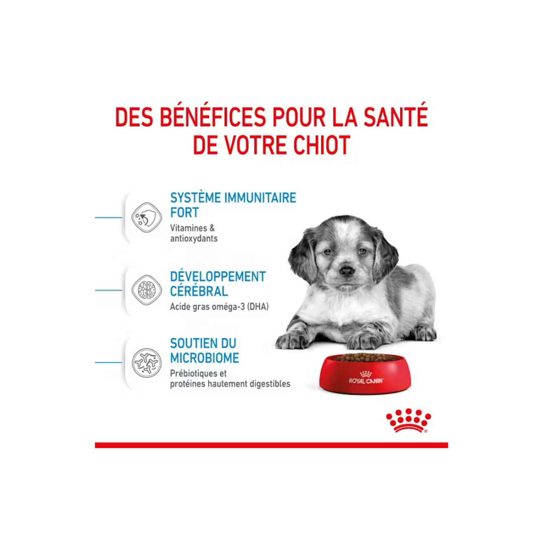 Medium Puppy - Croquettes - Royal Canin
