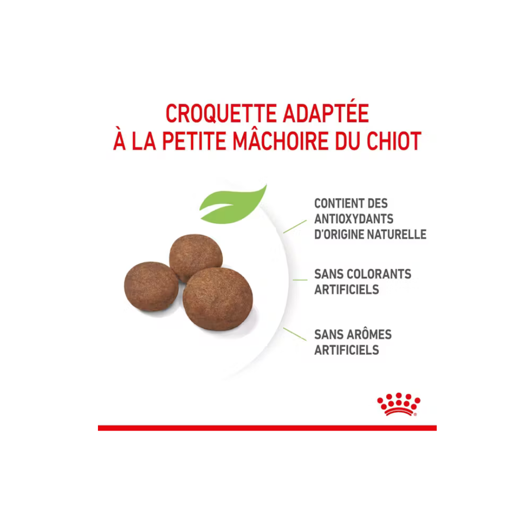 Medium Puppy - Croquettes - Royal Canin