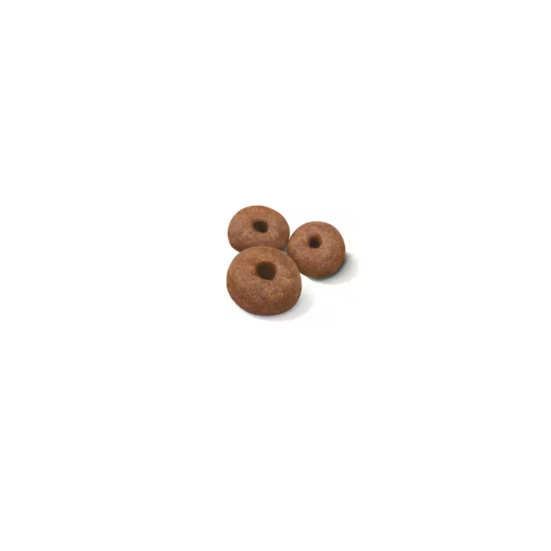 Giant Starter Mère et Chiot - Croquettes - Royal Canin