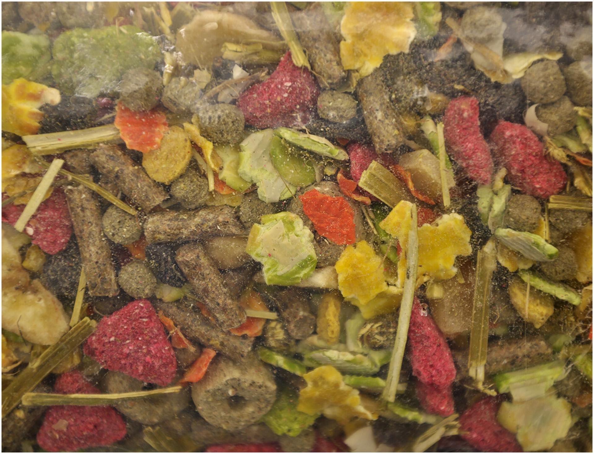 VDG PREMIUM CHINCHILLA – Aliment Complet 12,5 Kg