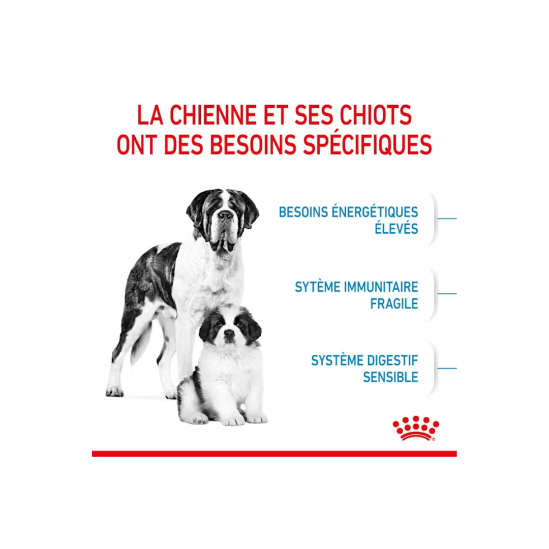 Giant Starter Mère et Chiot - Croquettes - Royal Canin