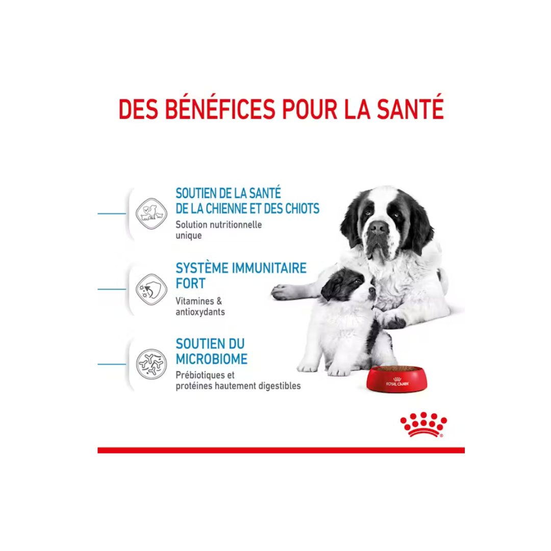 Giant Starter Mère et Chiot - Croquettes - Royal Canin
