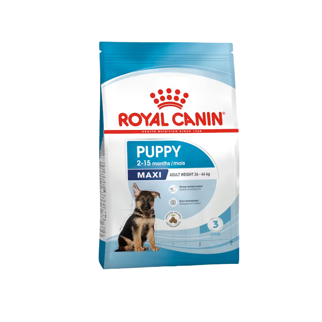 Maxi Puppy – Croquettes – Royal Canin