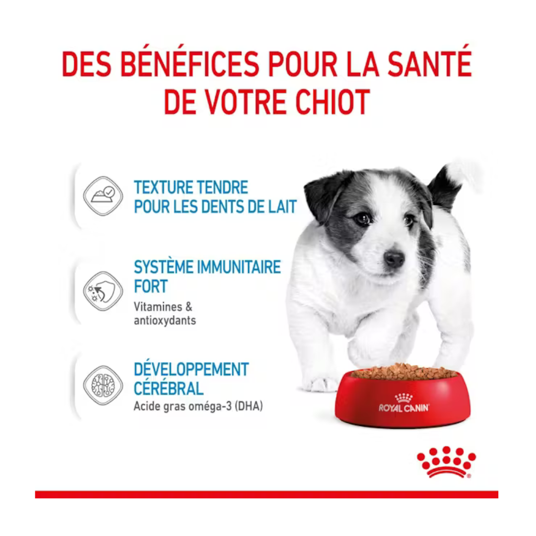 Mini Puppy Wet 12x85g- Aliment Sec- Royal Canin