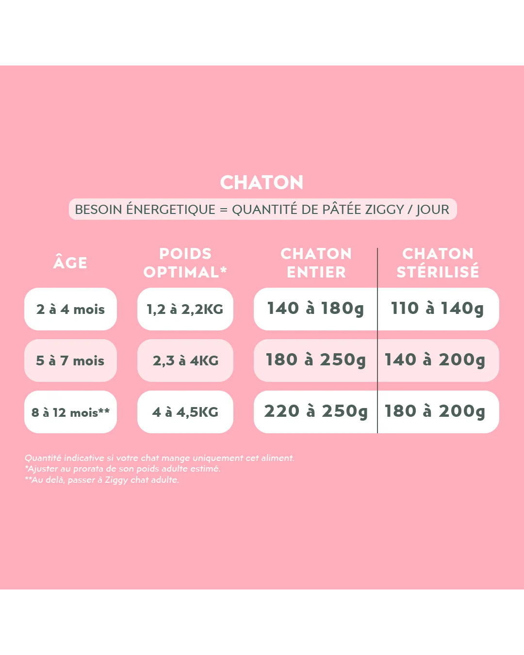 Ziggy – Pâtée pour Chats – Saveur Truite – 4 x 100 g